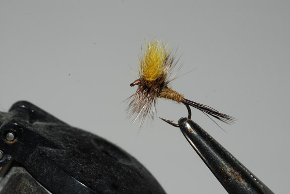 Clean Your Old Dry Flies - The View From Harrys Window - A Fly Fishing Blog