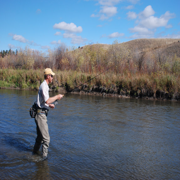 How Far Do I Need To Cast For Trout - The View From Harrys Window - A Fly  Fishing Blog
