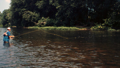 High Floating Attractors dry flies