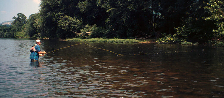 High Floating Attractors dry flies