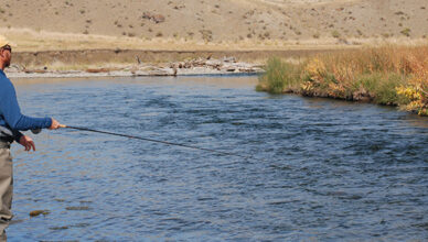 Fly Fishing in Montana