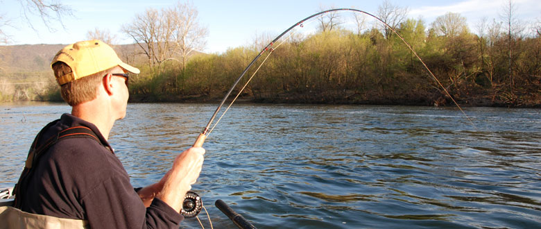 Brown Drake Blog- Murray's Fly Shop- Edinburg, Virginia