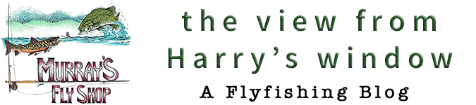 The View From Harrys Window – A Fly Fishing Blog