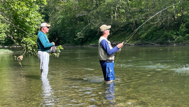 damselflies for smallmouth bass