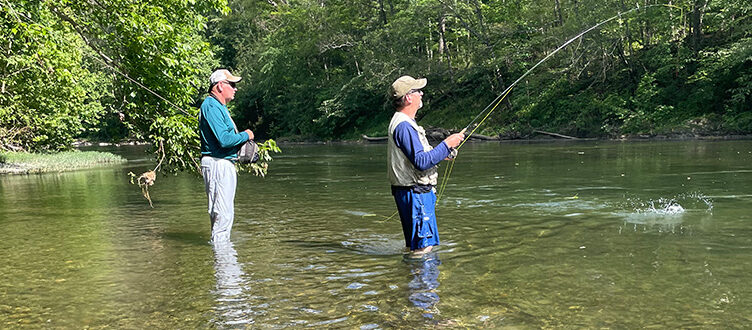 damselflies for smallmouth bass