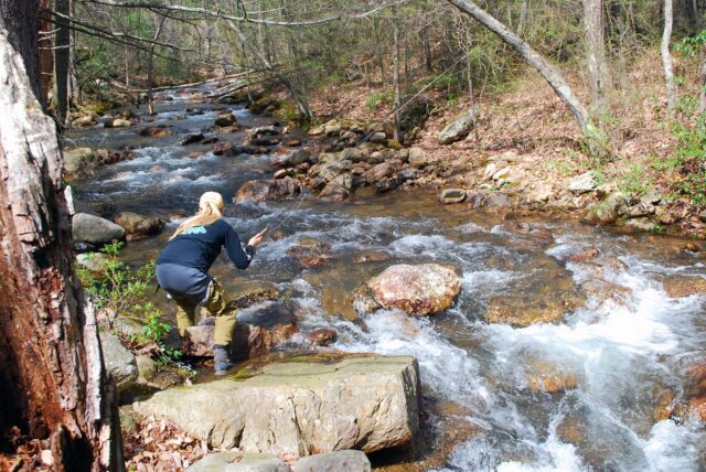 Review of the Scott Centric Fly Rod with Harry Murray - The Review of the Scott Centric Fly Rod with Harry Murray - The